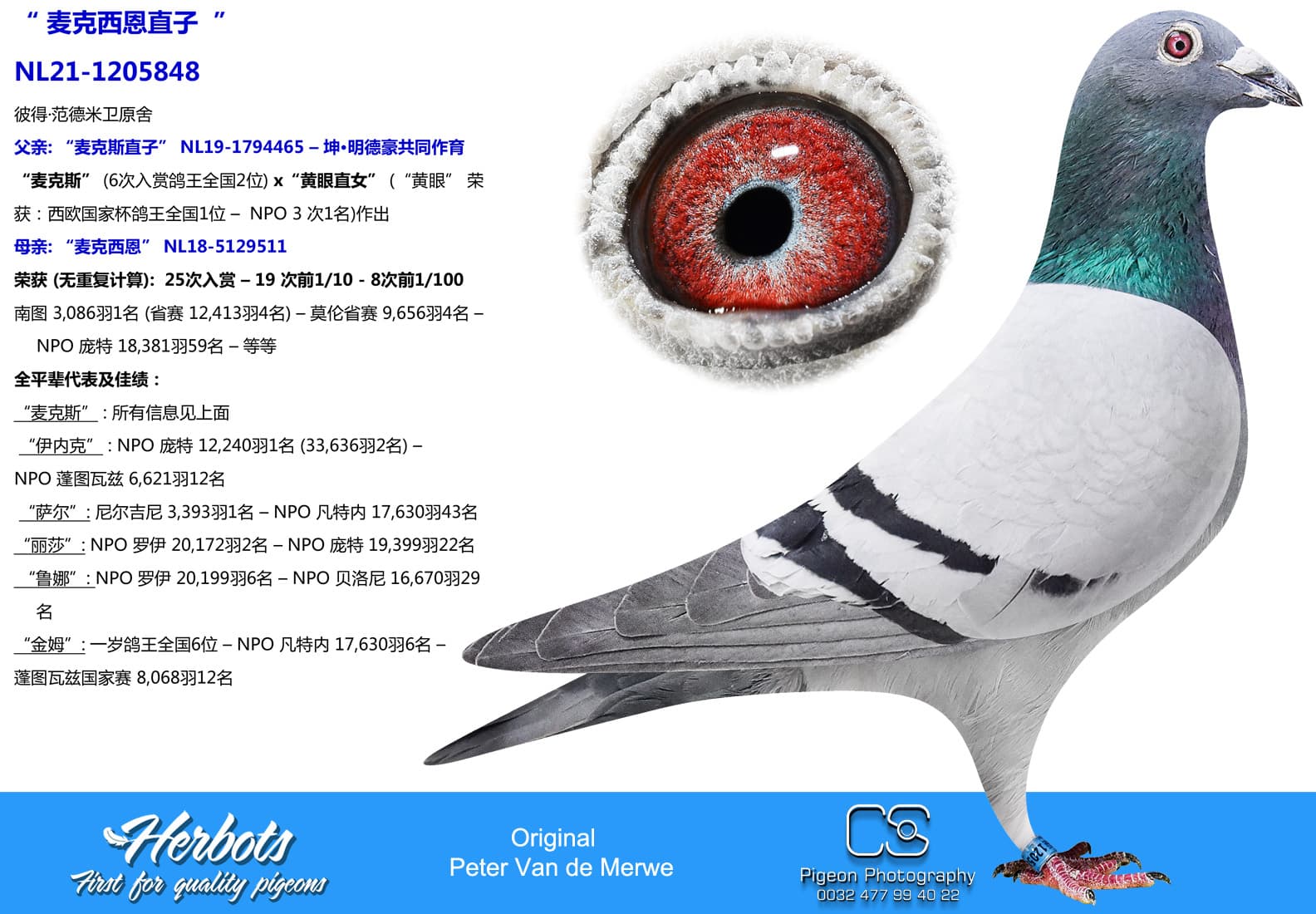 pigeon: undefined