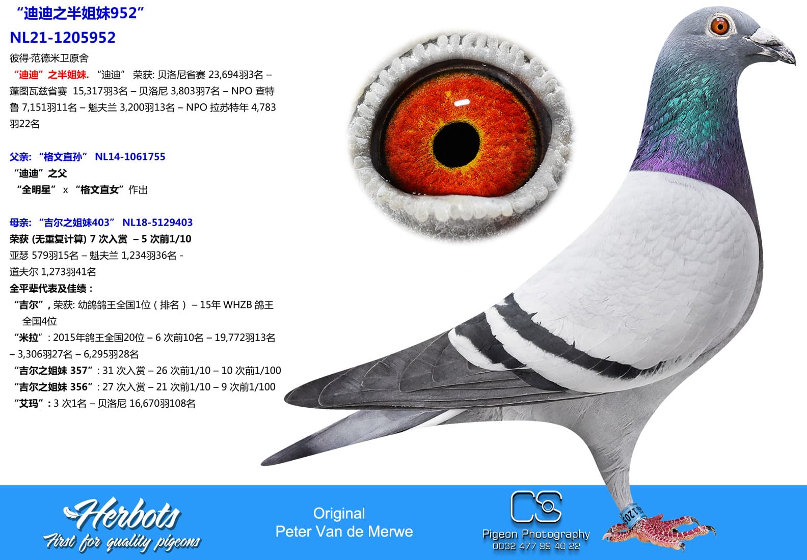 pigeon: undefined
