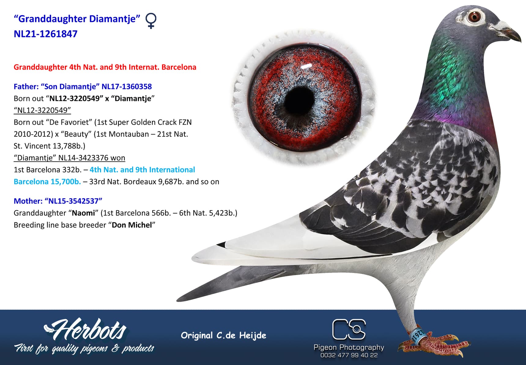pigeon: undefined