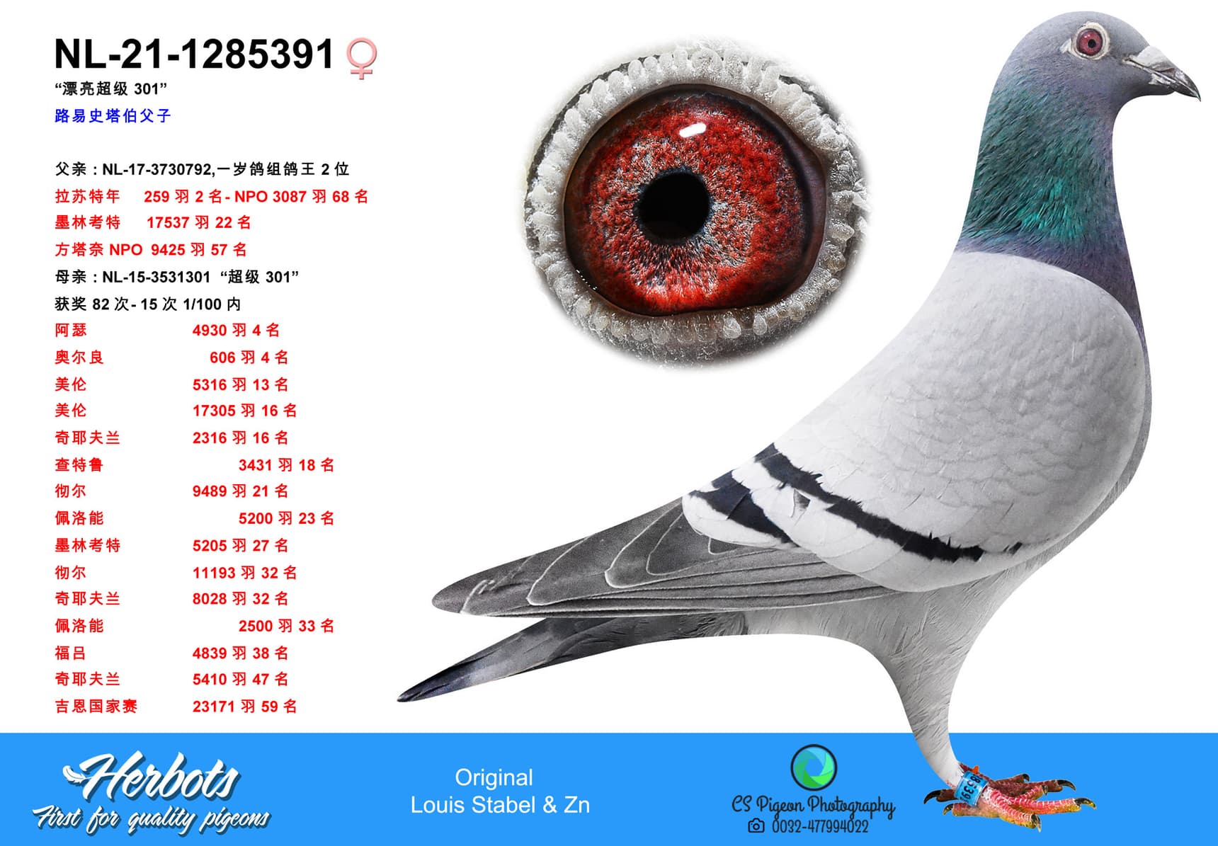 pigeon: Beauty Super 301