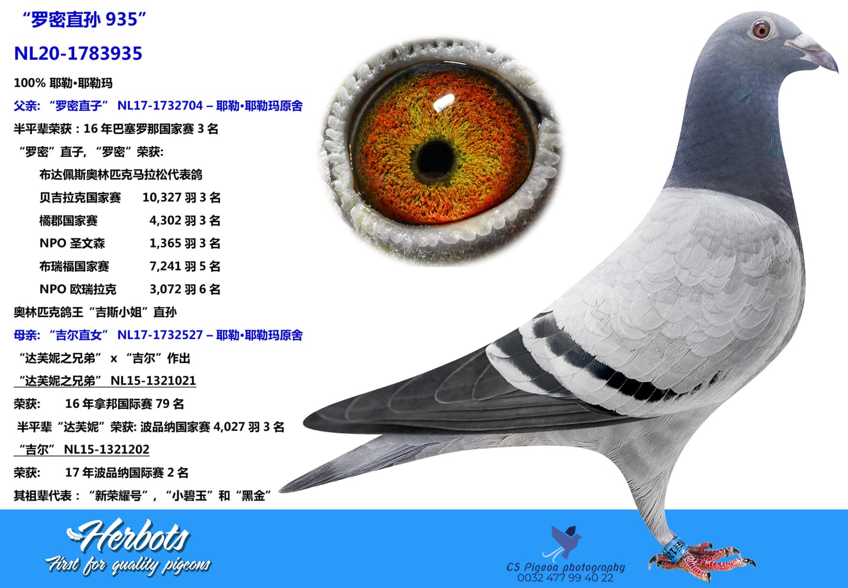 pigeon: undefined