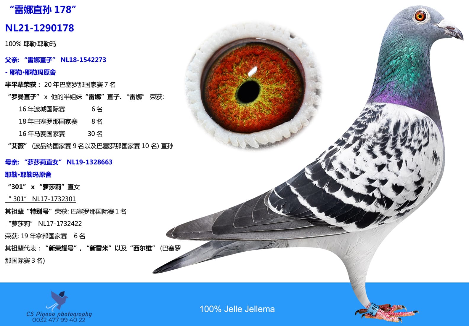pigeon: undefined