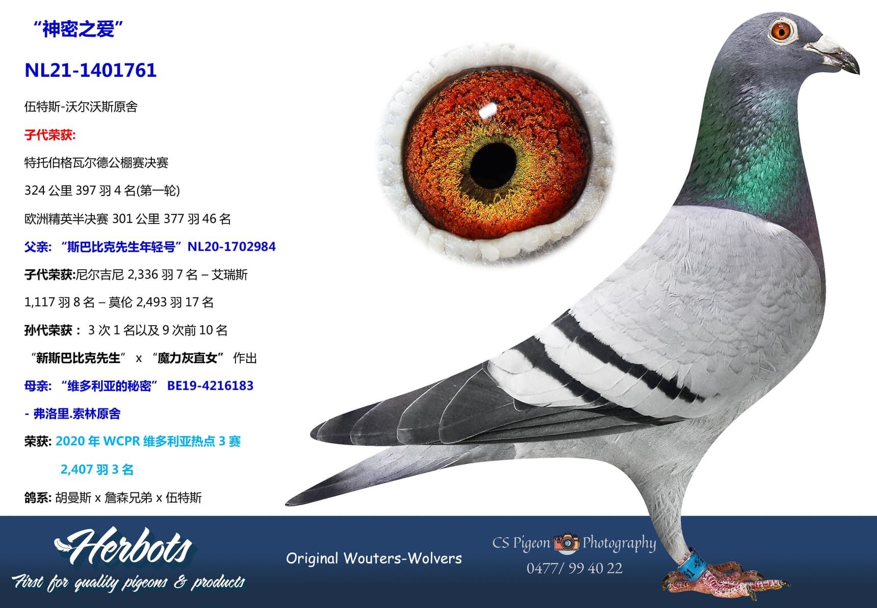 pigeon: undefined