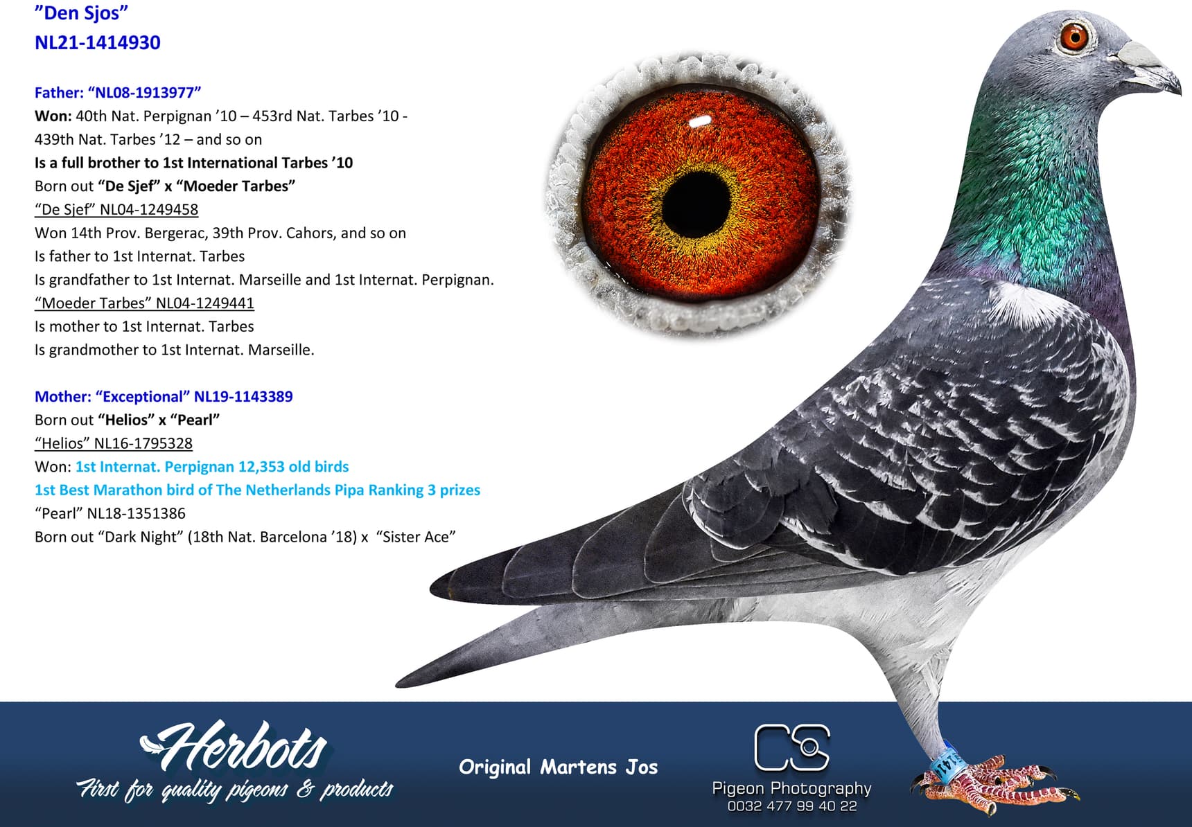 pigeon: undefined