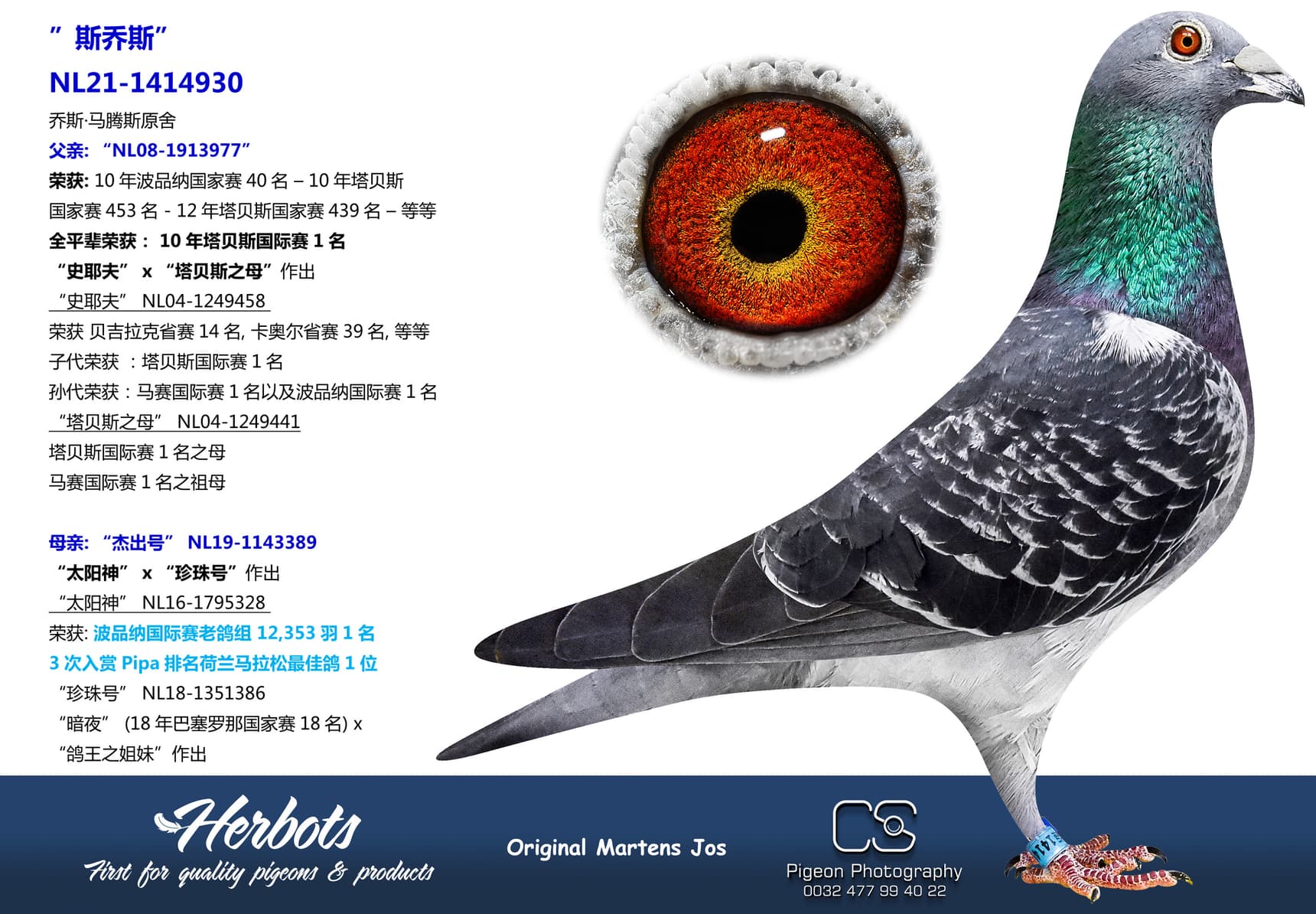 pigeon: ”斯乔斯”
