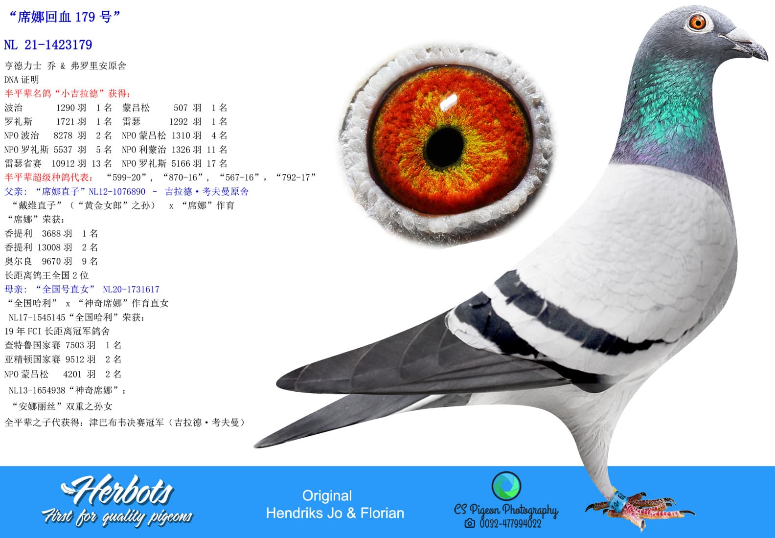 pigeon: undefined