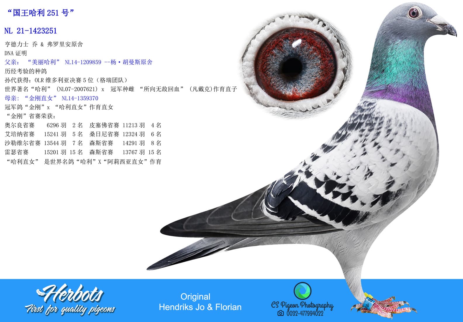 pigeon: undefined