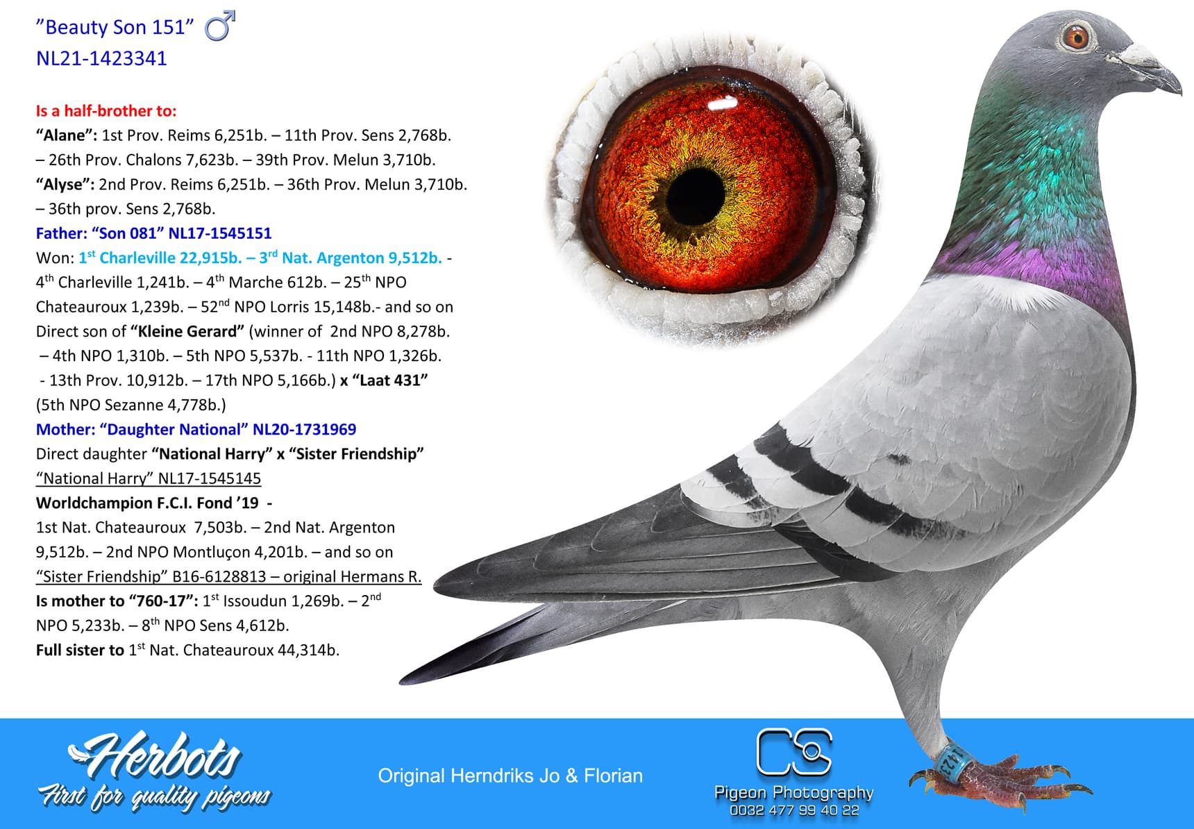 pigeon: undefined