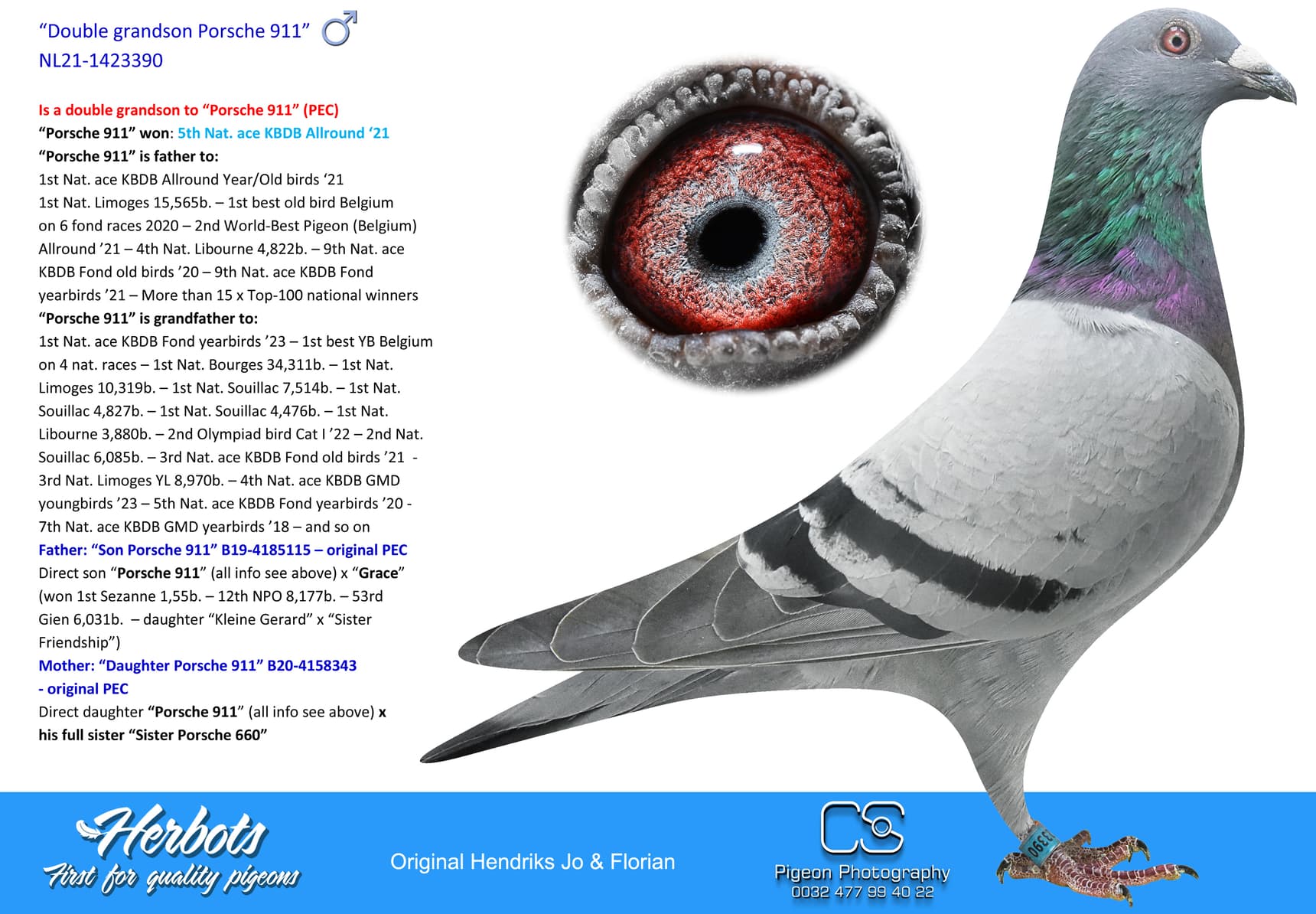 pigeon: undefined