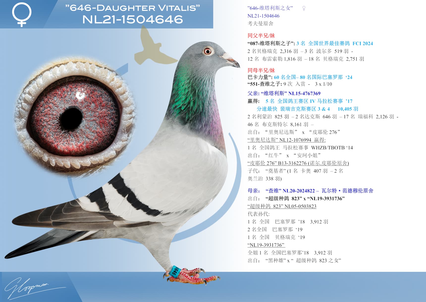 pigeon: undefined