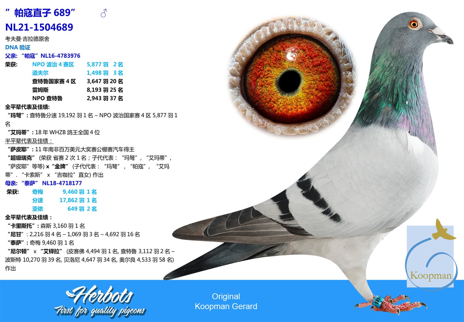 pigeon: undefined