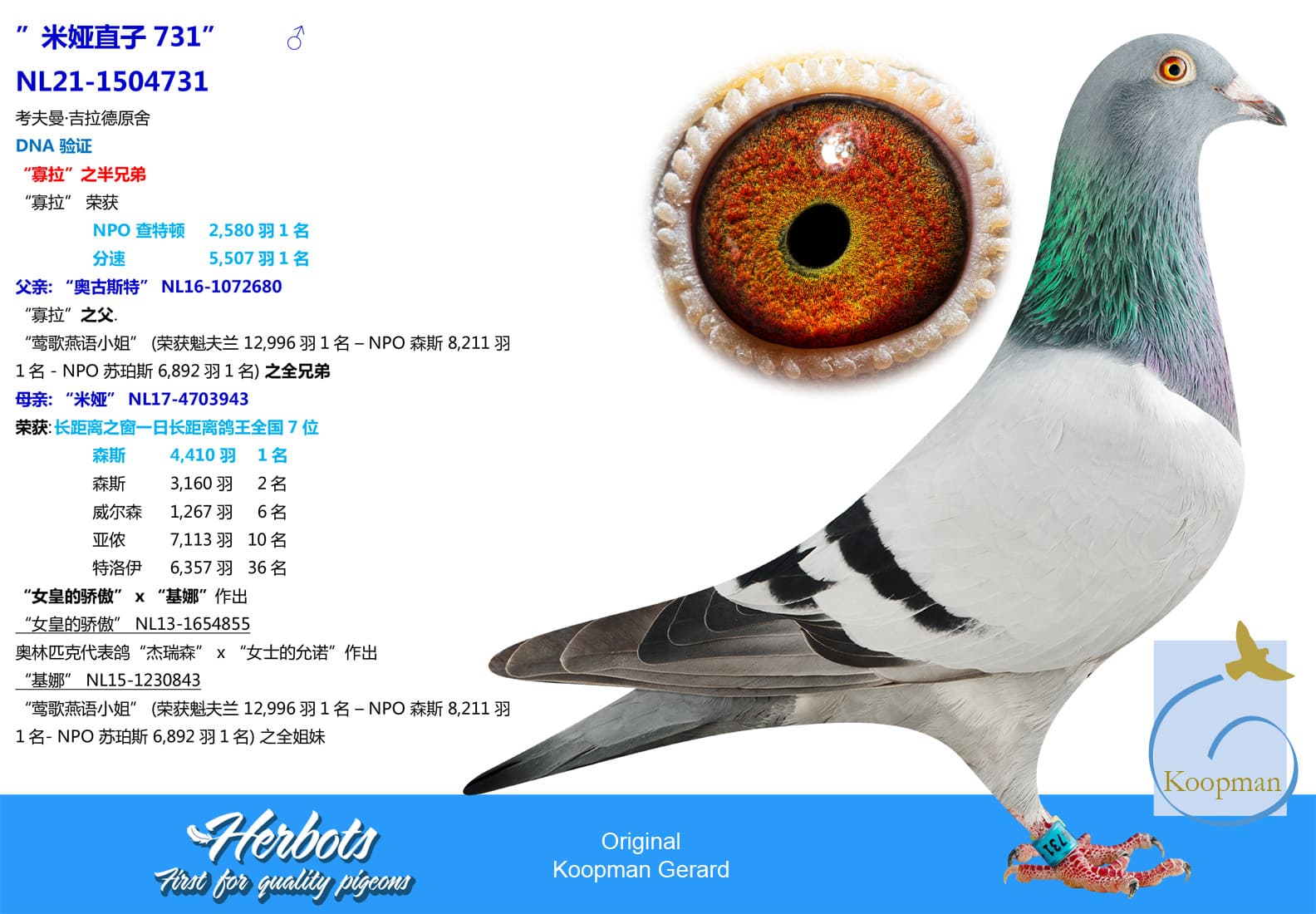 pigeon: undefined