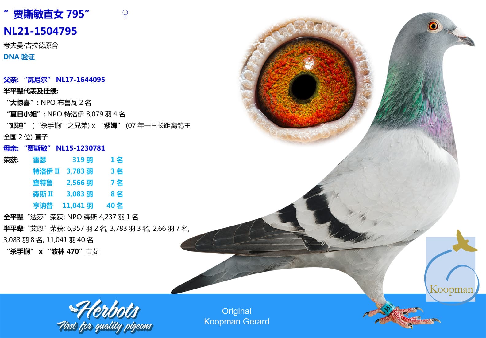 pigeon: undefined