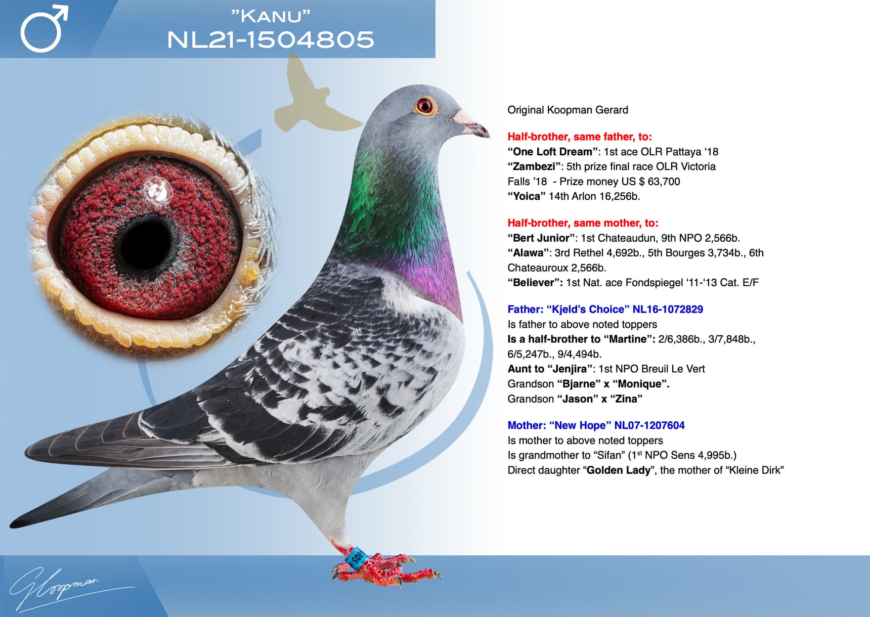 pigeon: undefined