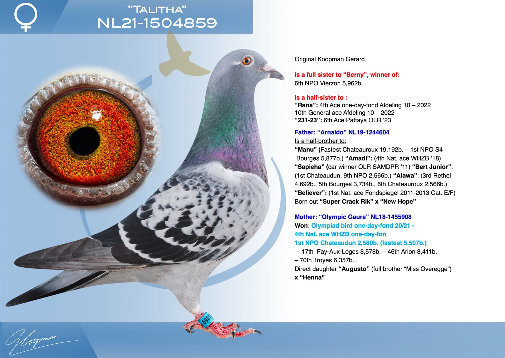 pigeon: undefined