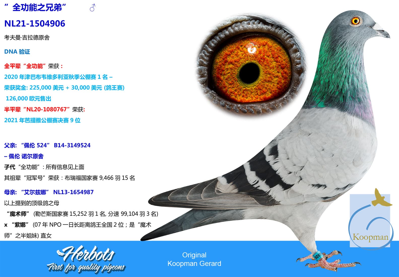 pigeon: ”全功能之兄弟”