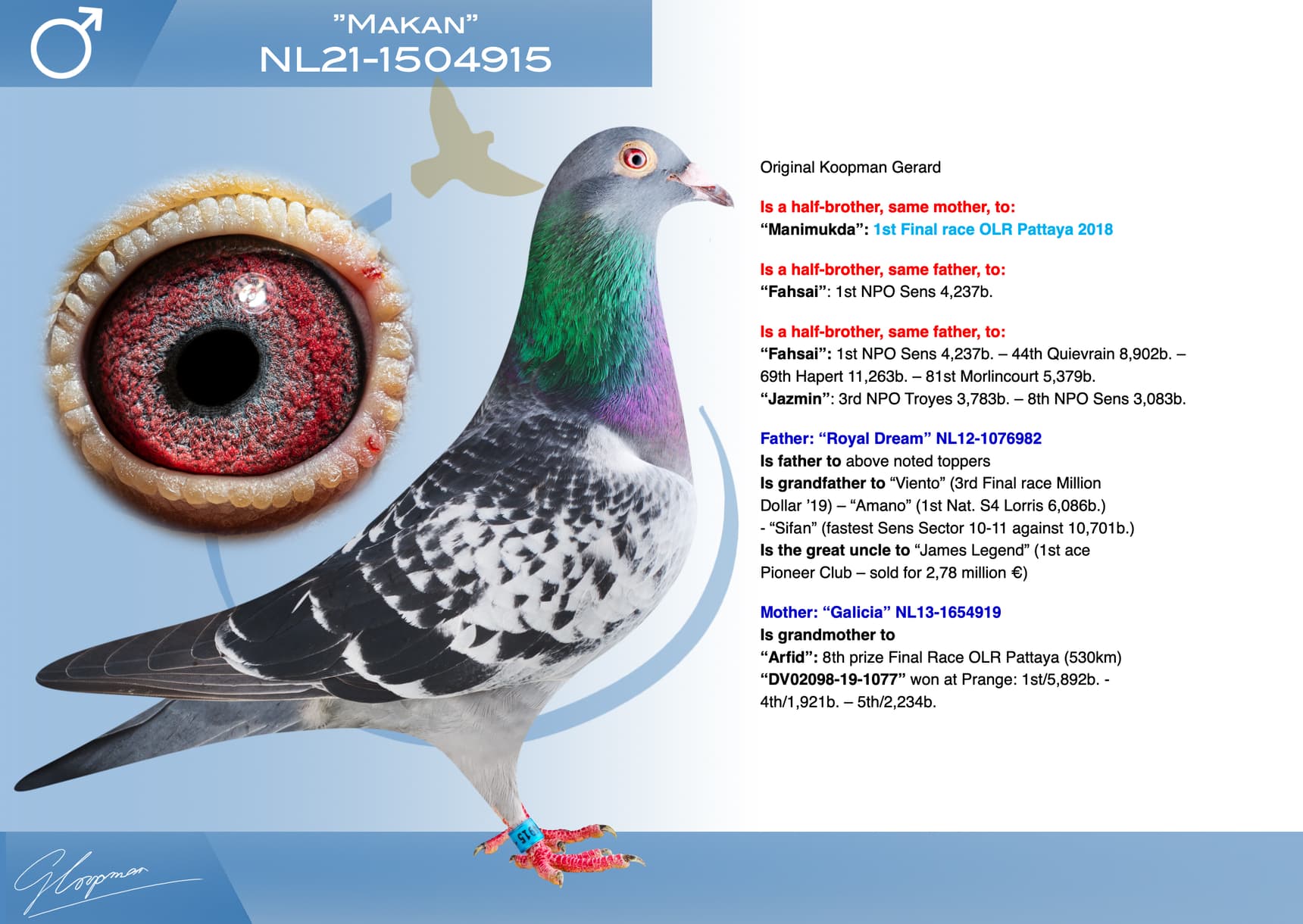 pigeon: undefined
