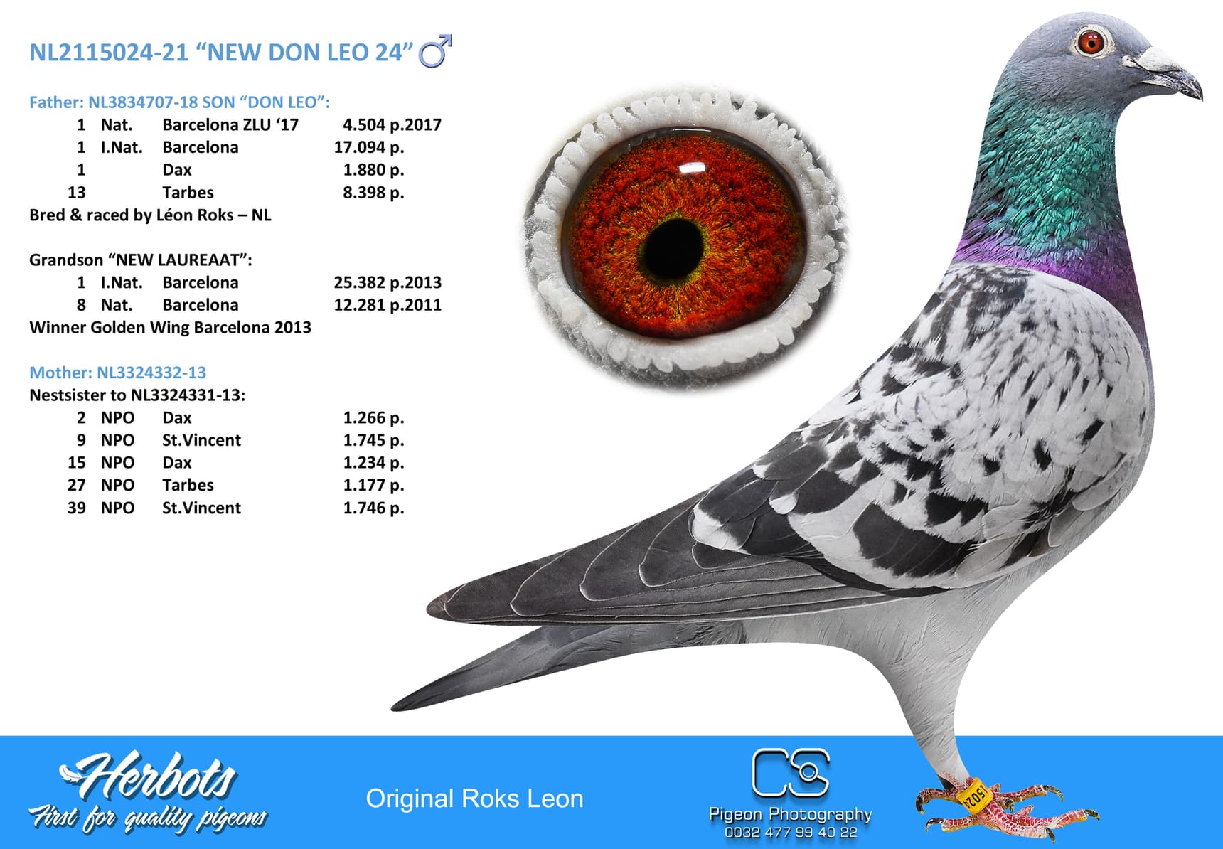 pigeon: undefined