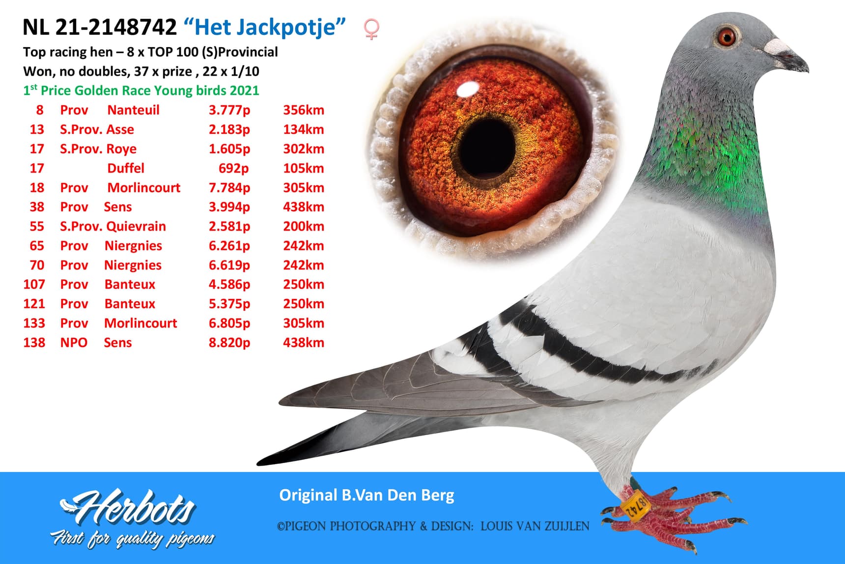 pigeon: “Het Jackpotje”