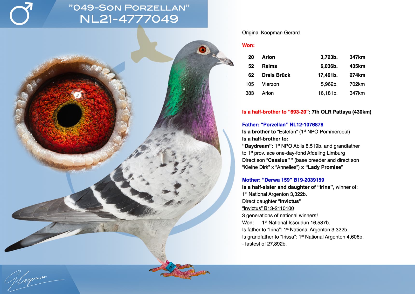 pigeon: undefined