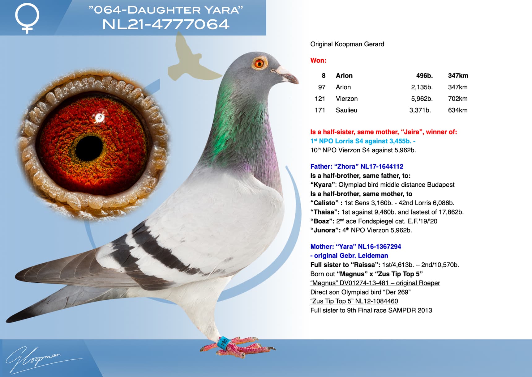 pigeon: undefined