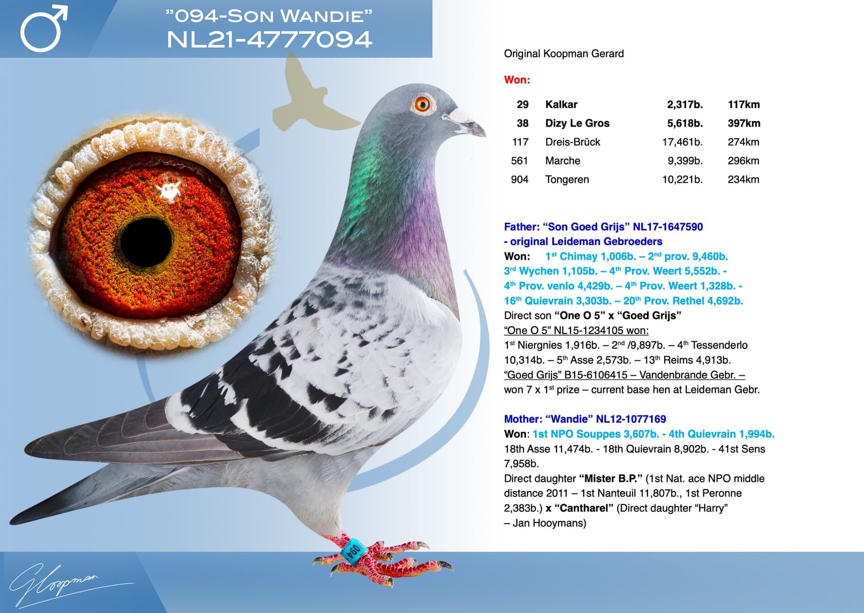 pigeon: undefined