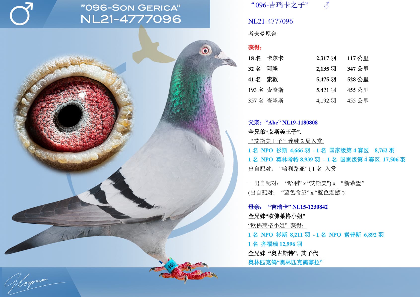 pigeon: undefined
