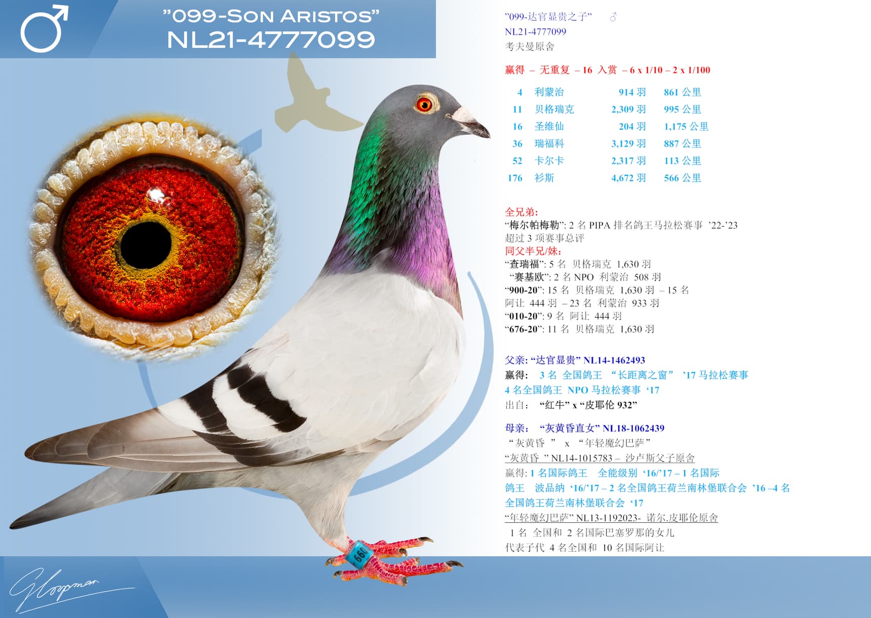 pigeon: ”099-达官显贵之子”