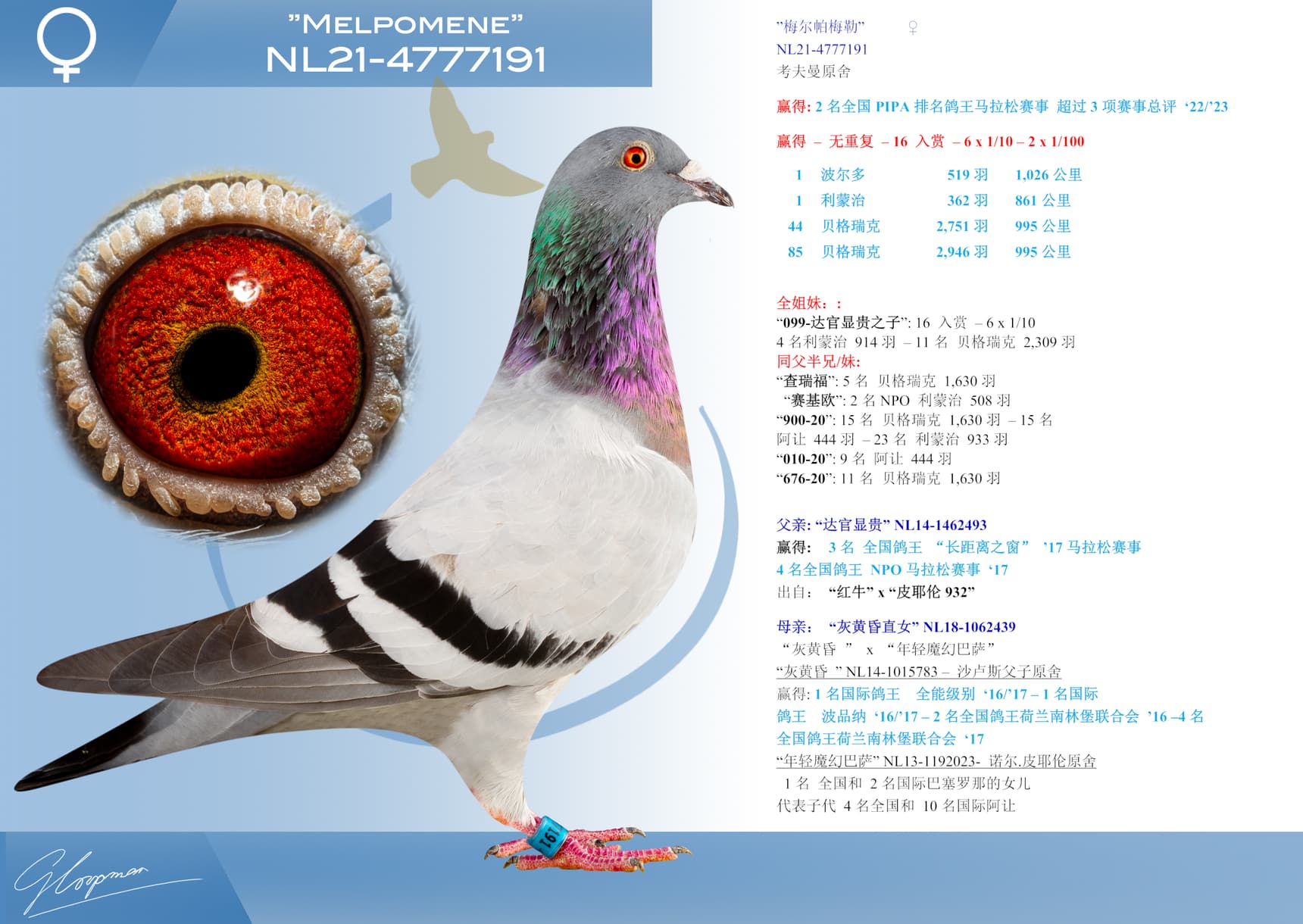 pigeon: ”梅尔帕梅勒”