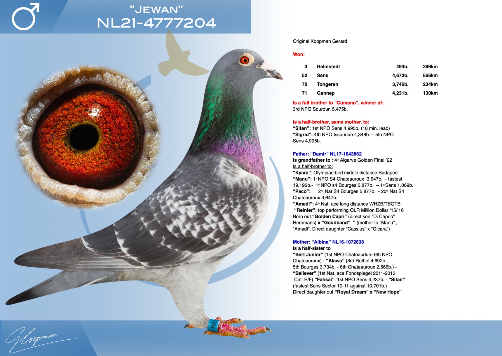 pigeon: undefined