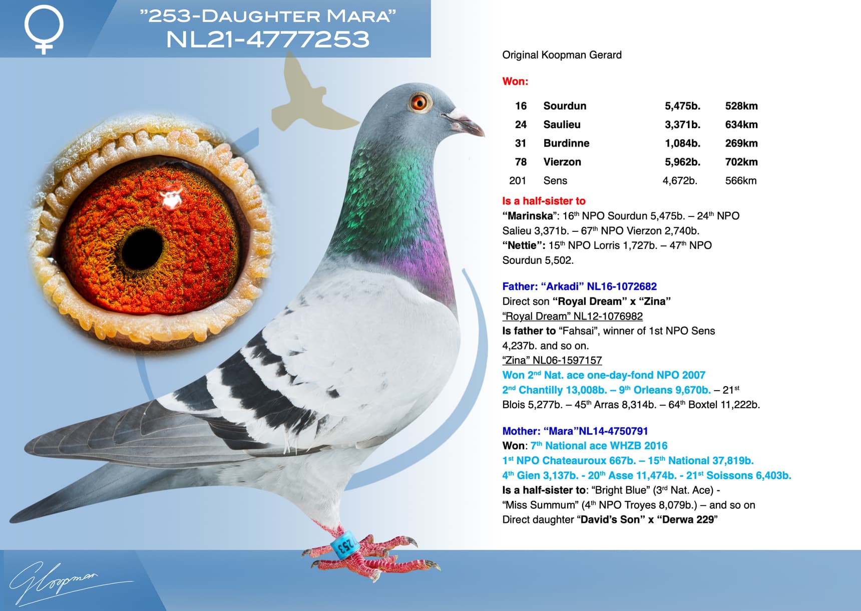pigeon: undefined