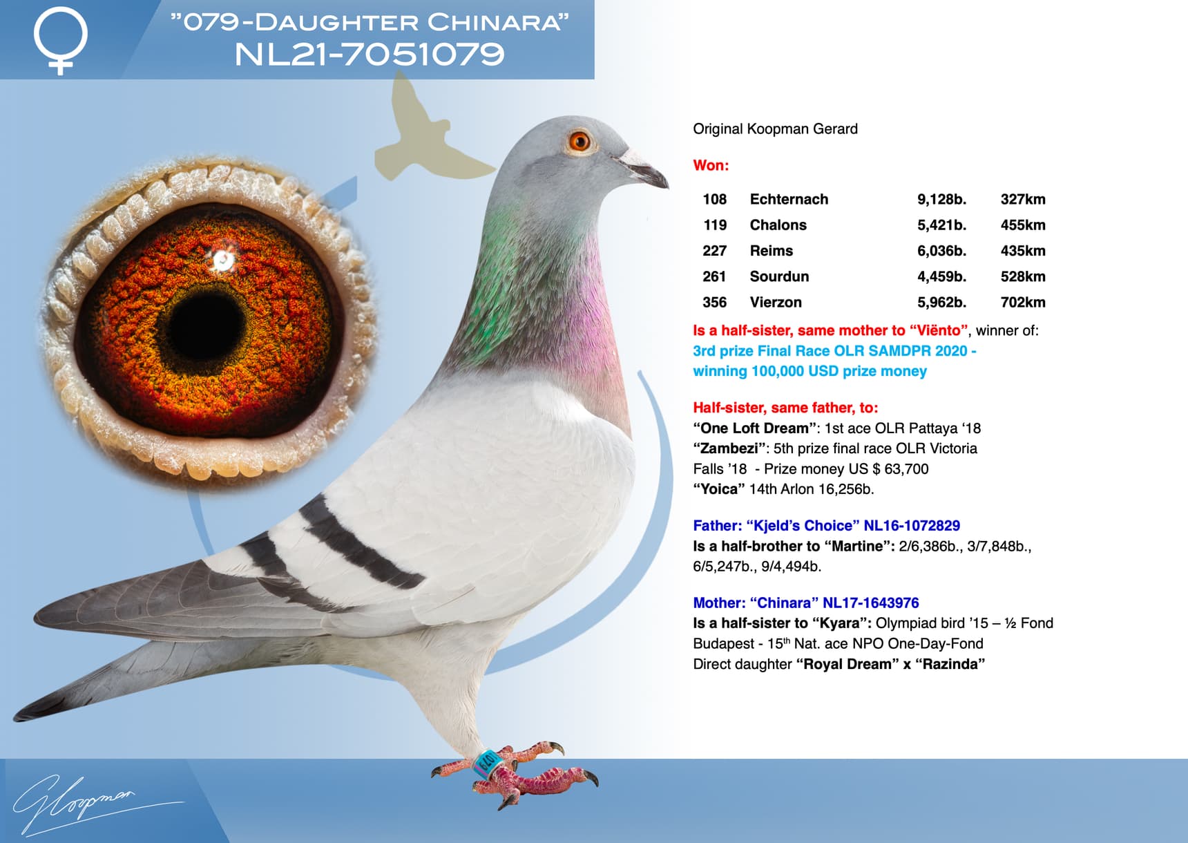 pigeon: undefined
