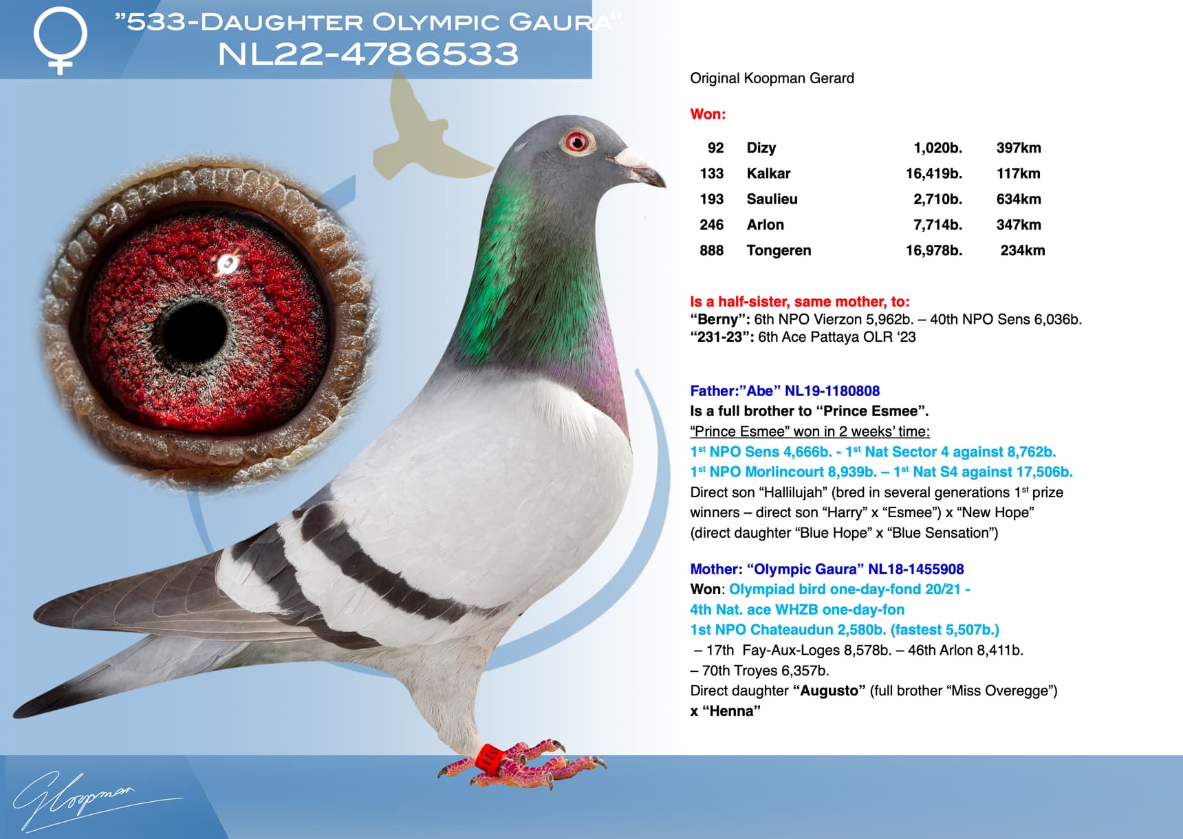 pigeon: undefined