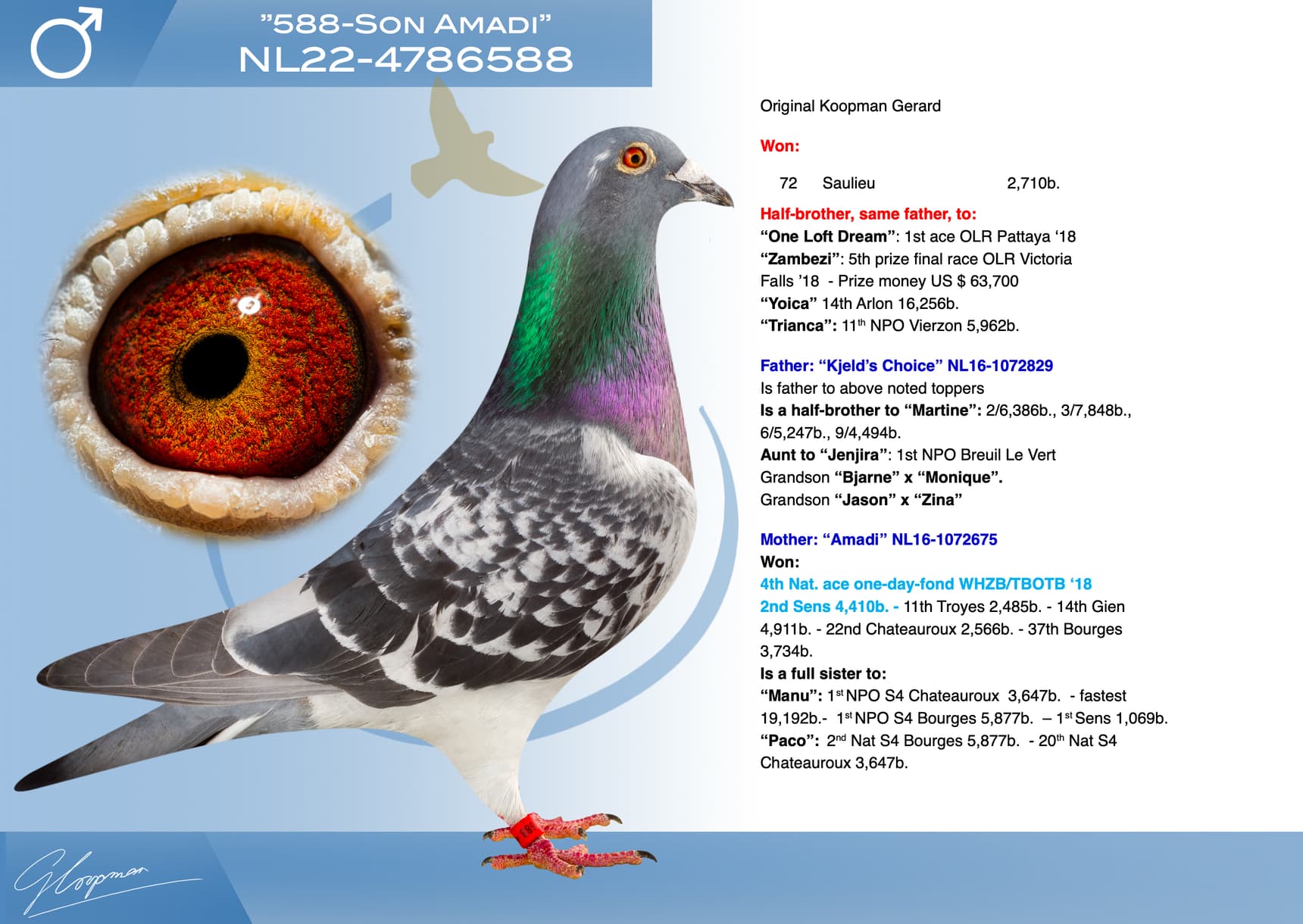 pigeon: undefined