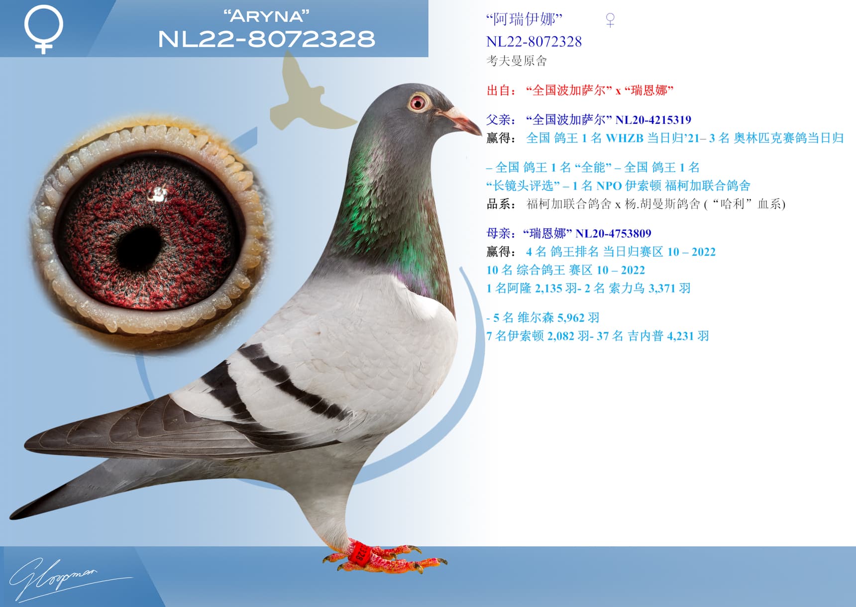 pigeon: undefined