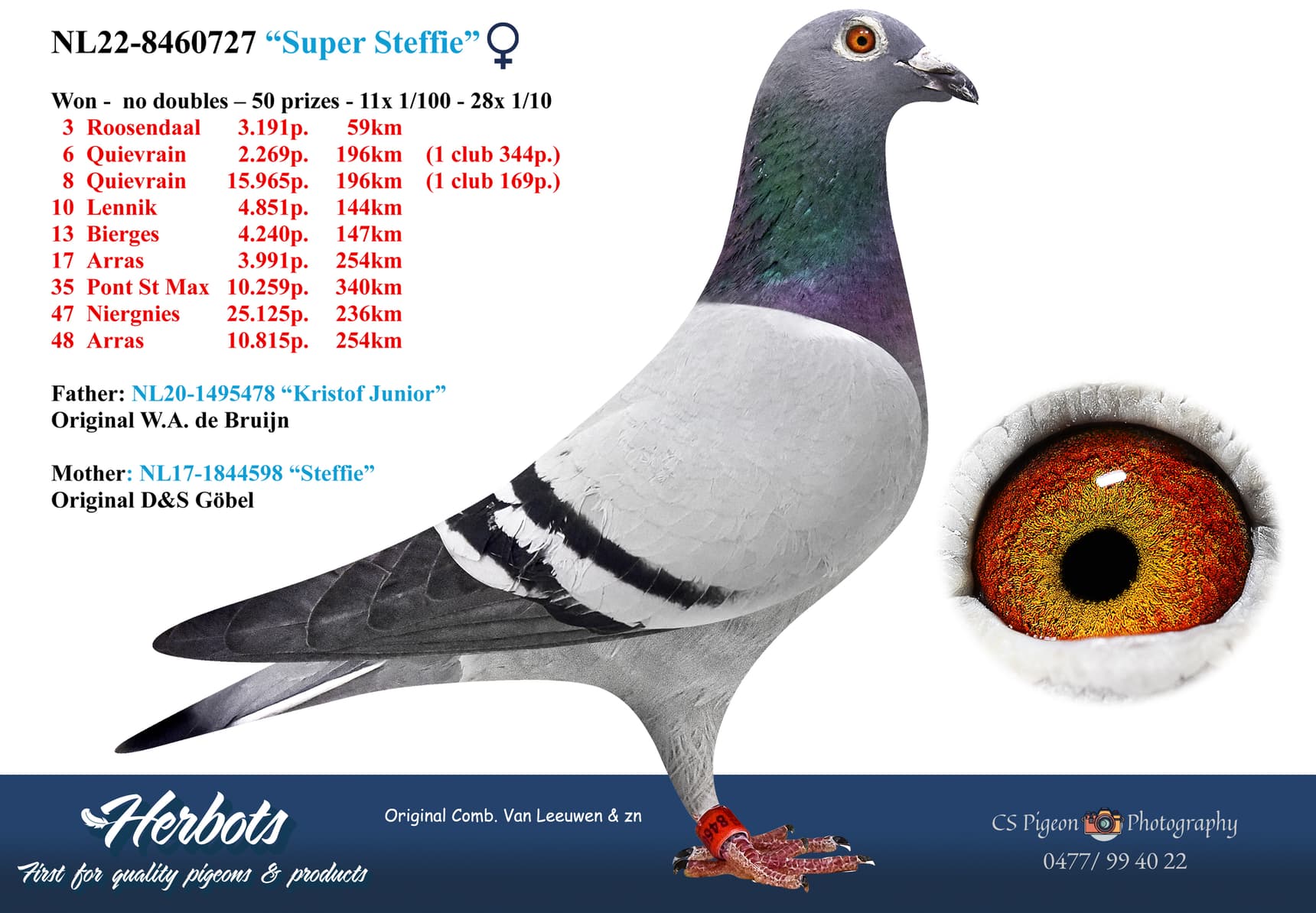 pigeon: undefined