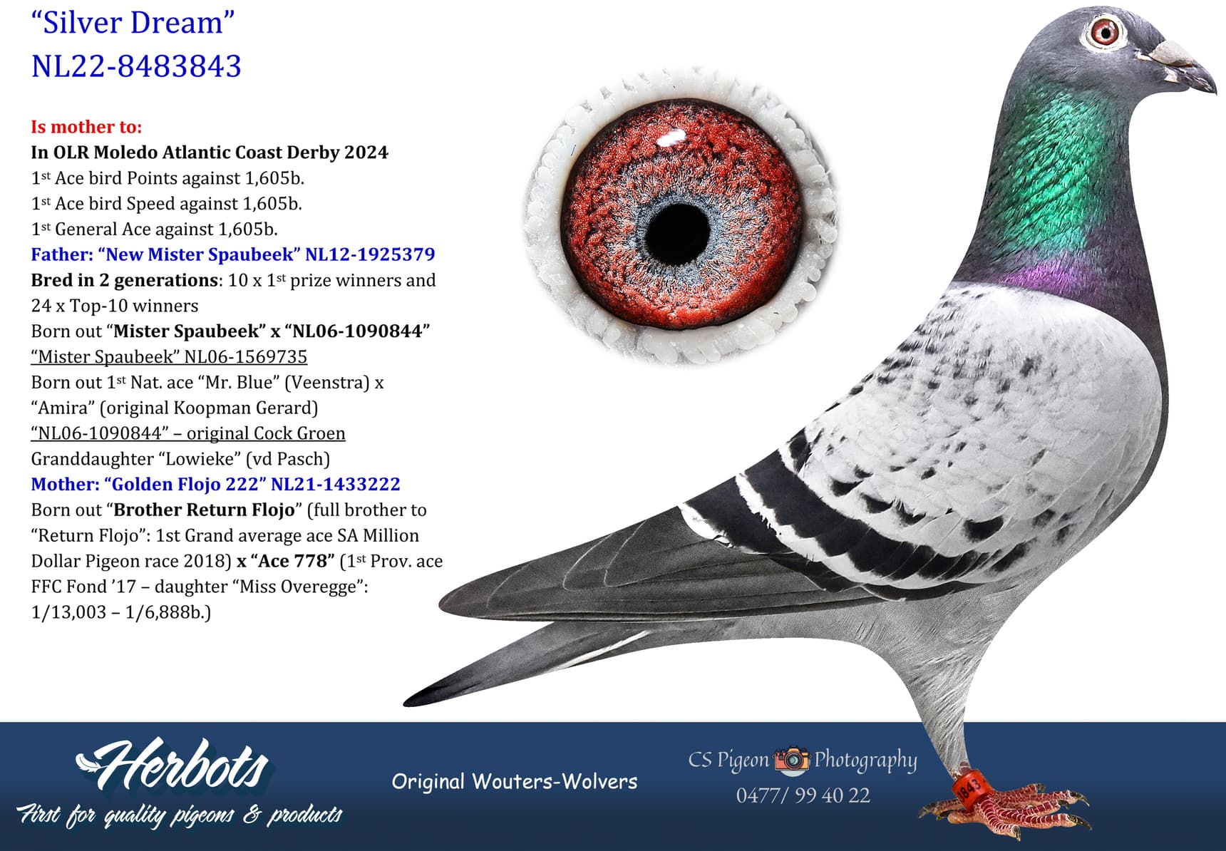 pigeon: undefined