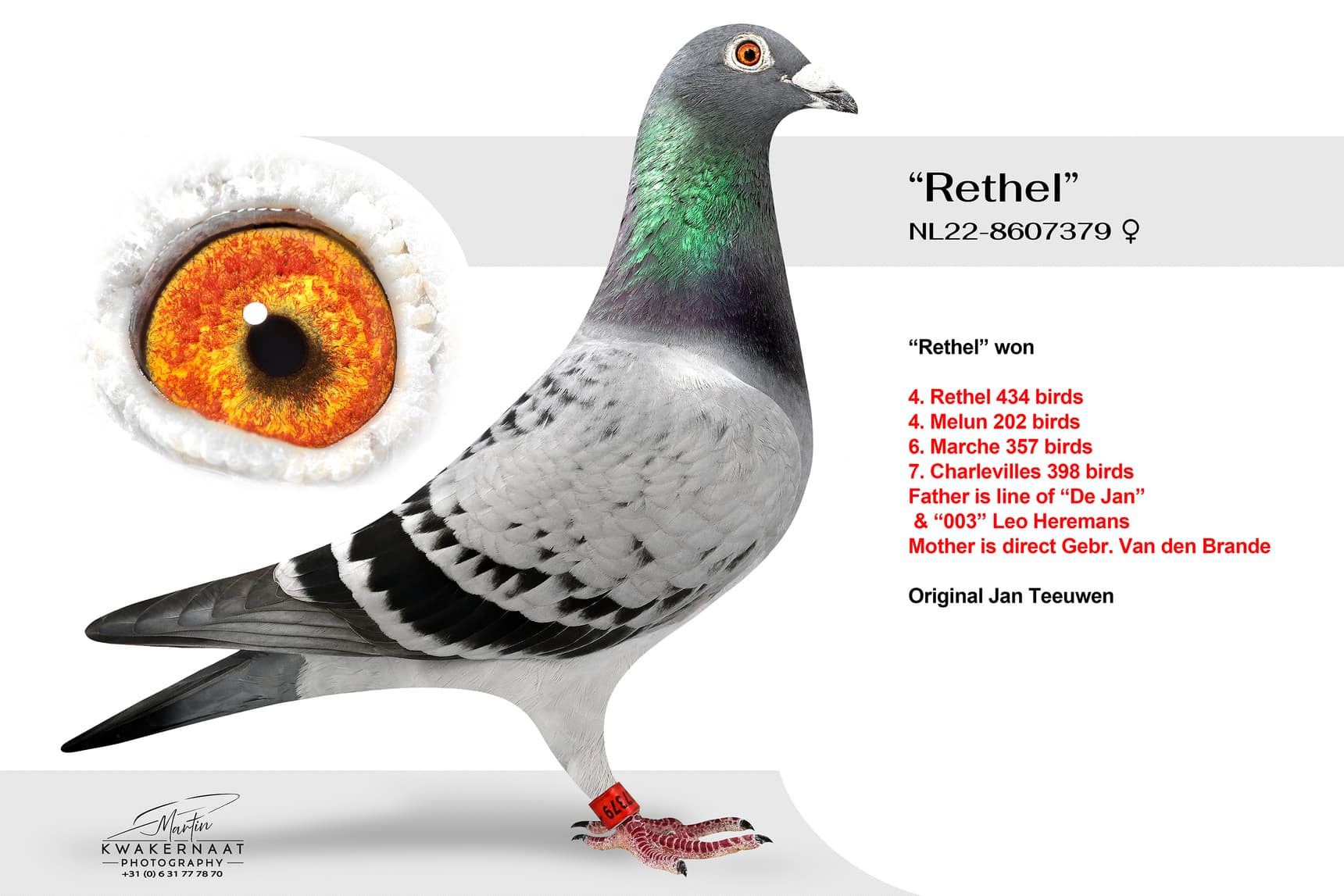 ‘Rethel’