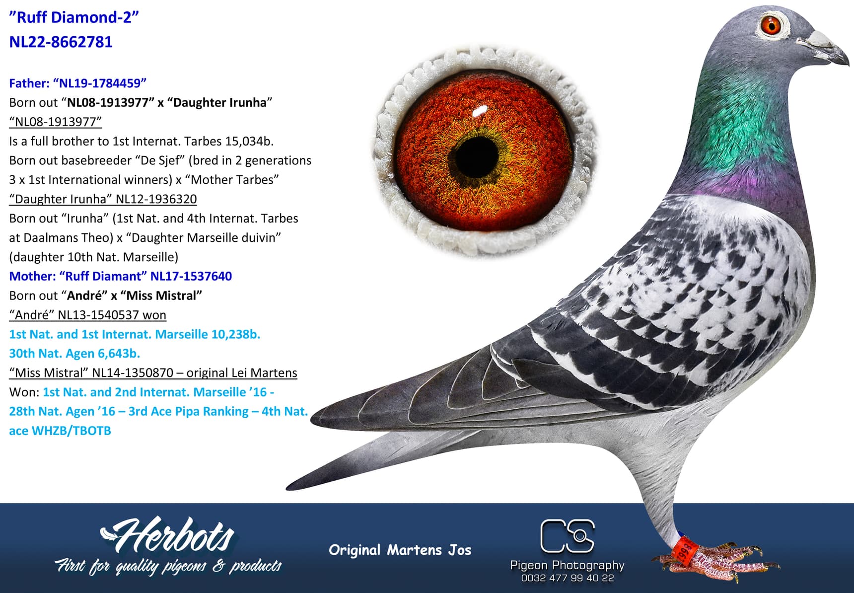 pigeon: undefined