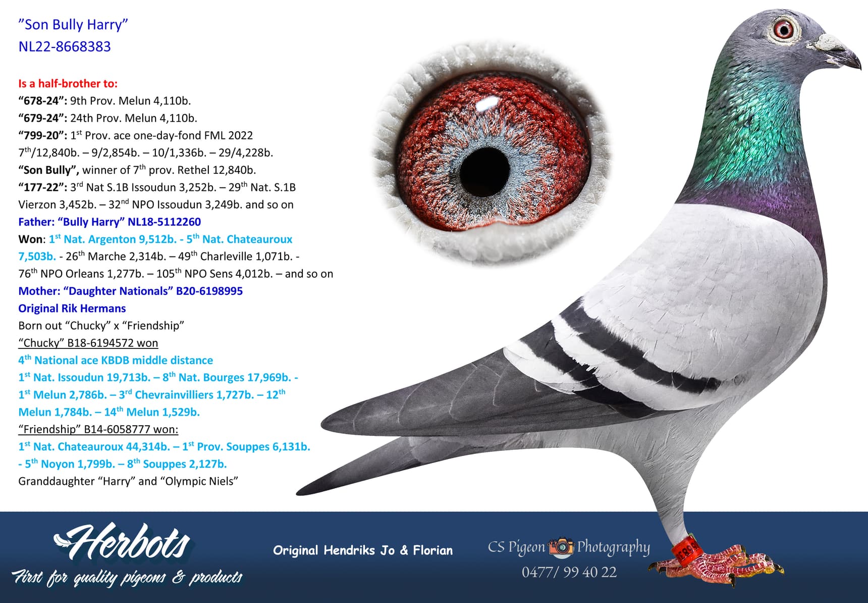 pigeon: undefined