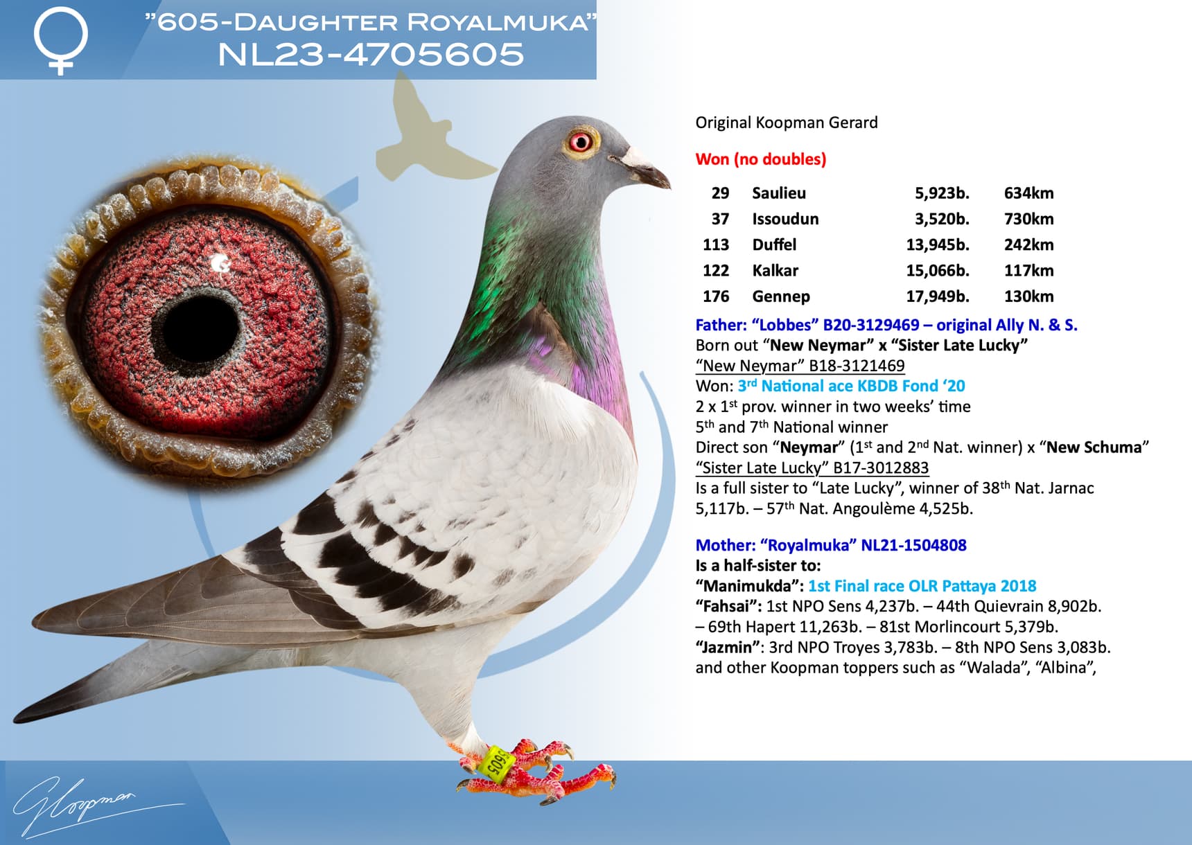 pigeon: undefined