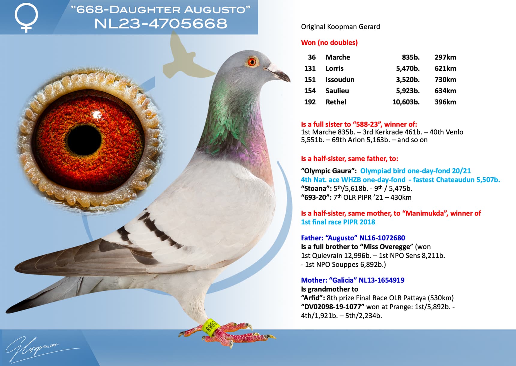 pigeon: undefined