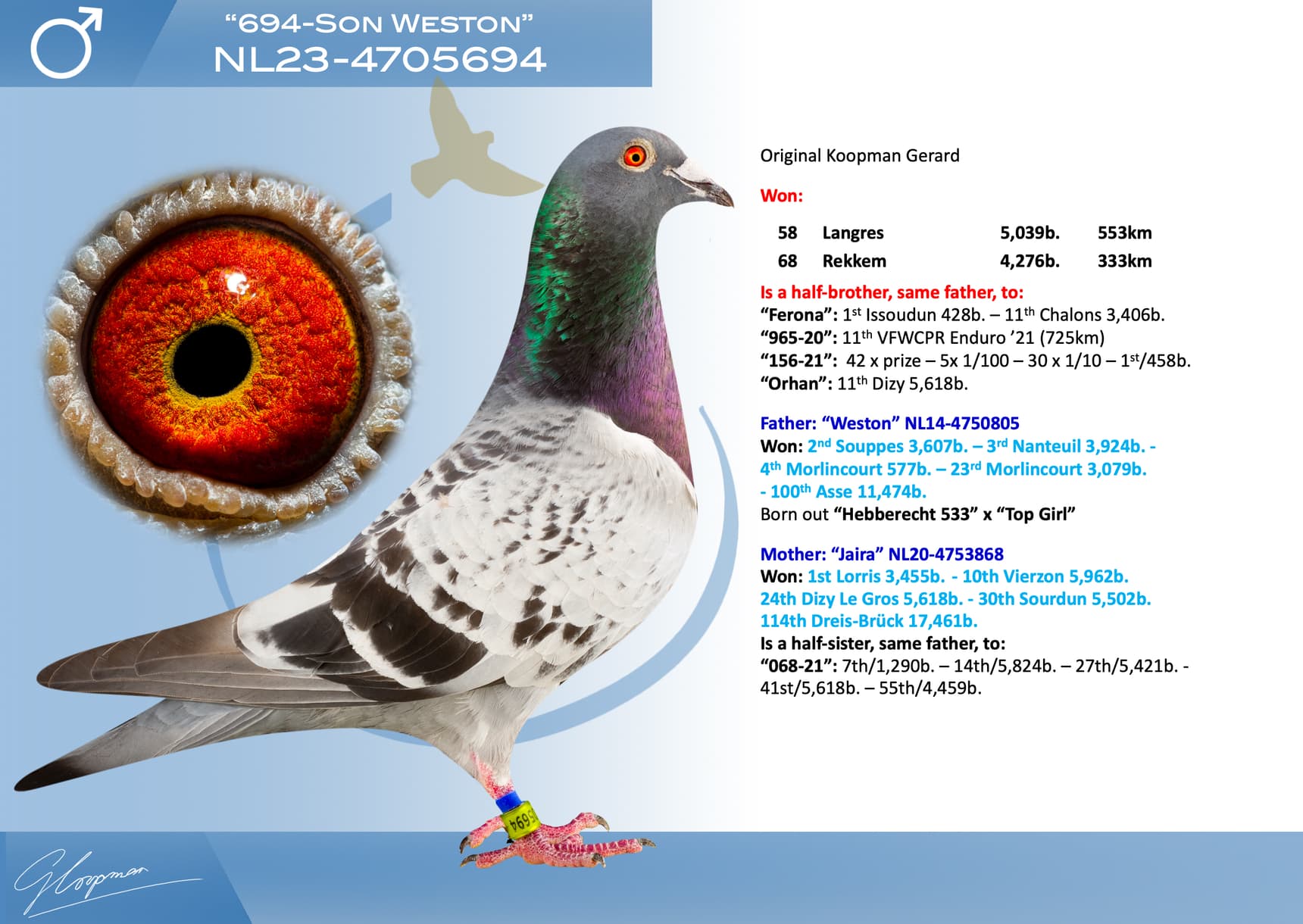 pigeon: undefined