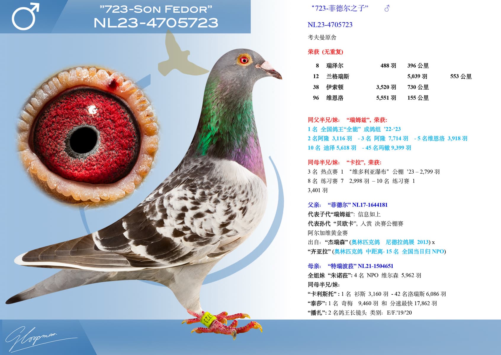 pigeon: “723-菲德尔之子”