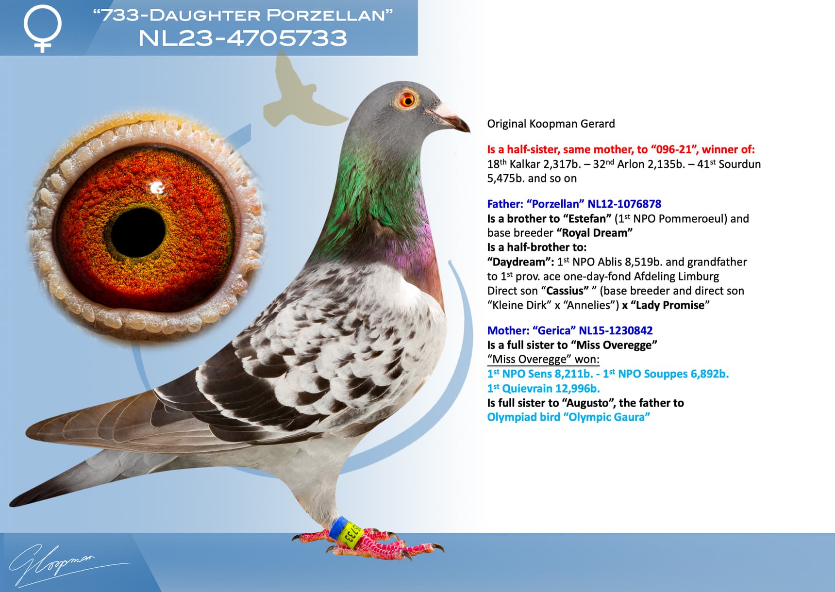 pigeon: undefined