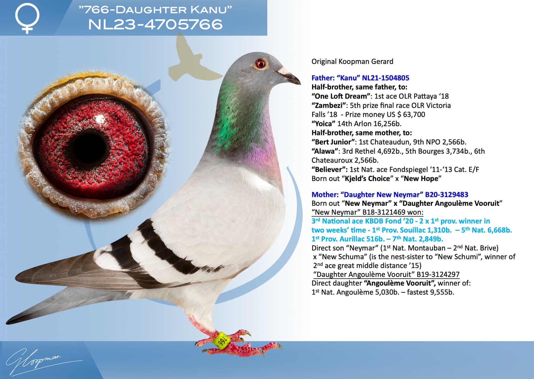 pigeon: undefined