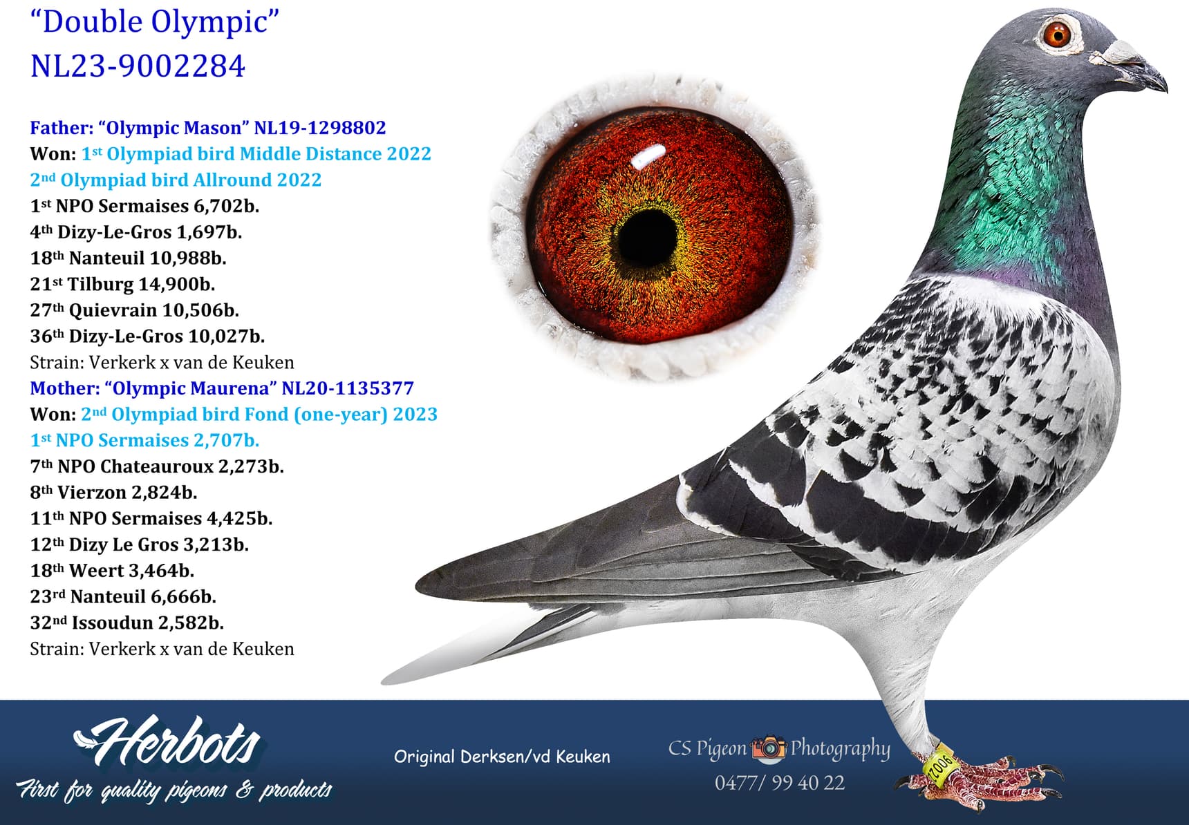 pigeon: undefined