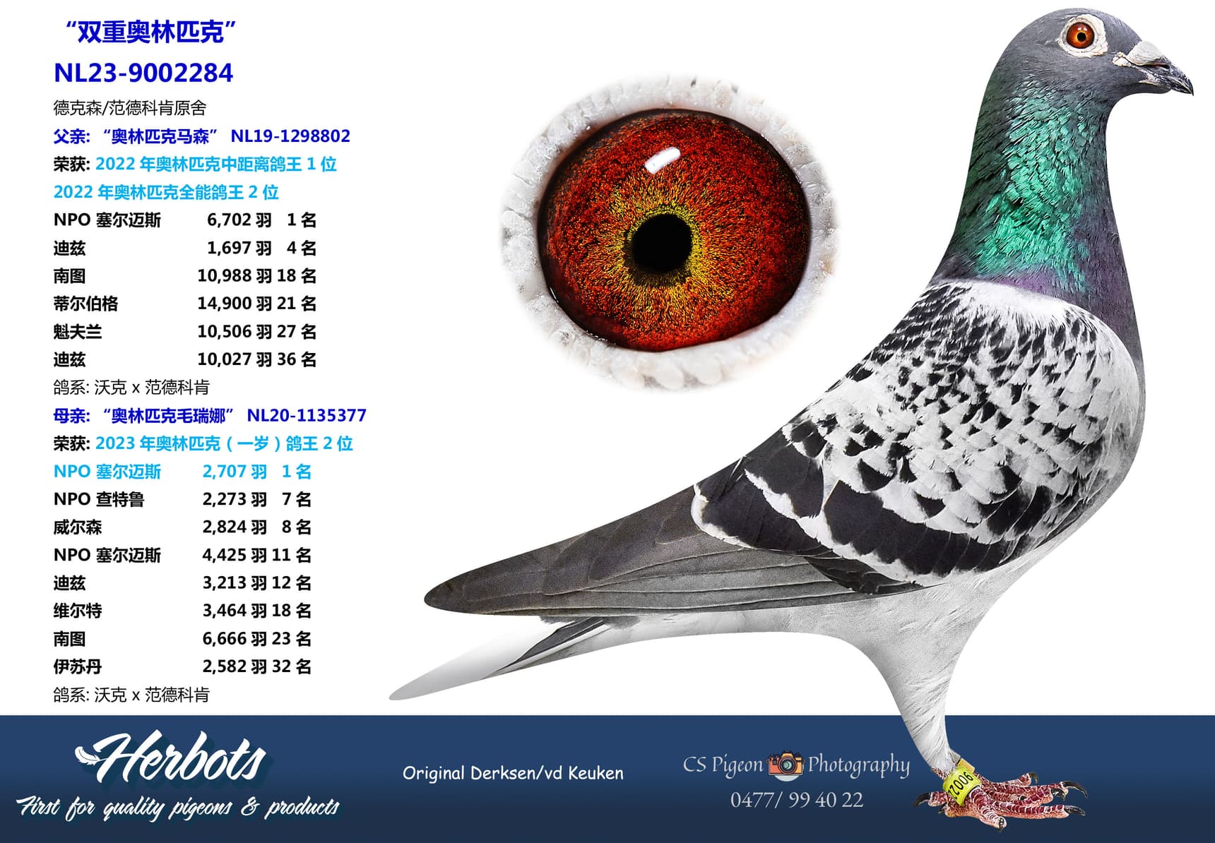 pigeon: undefined