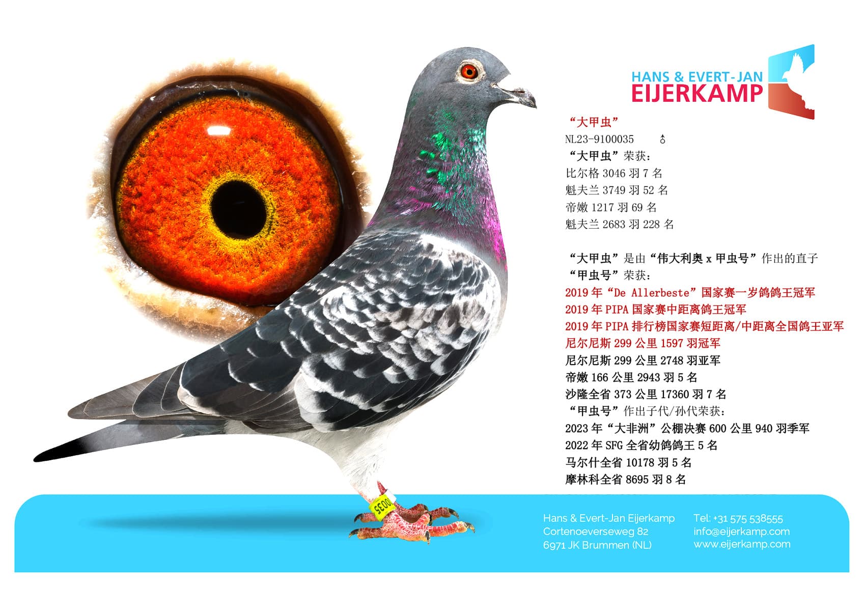 pigeon: undefined