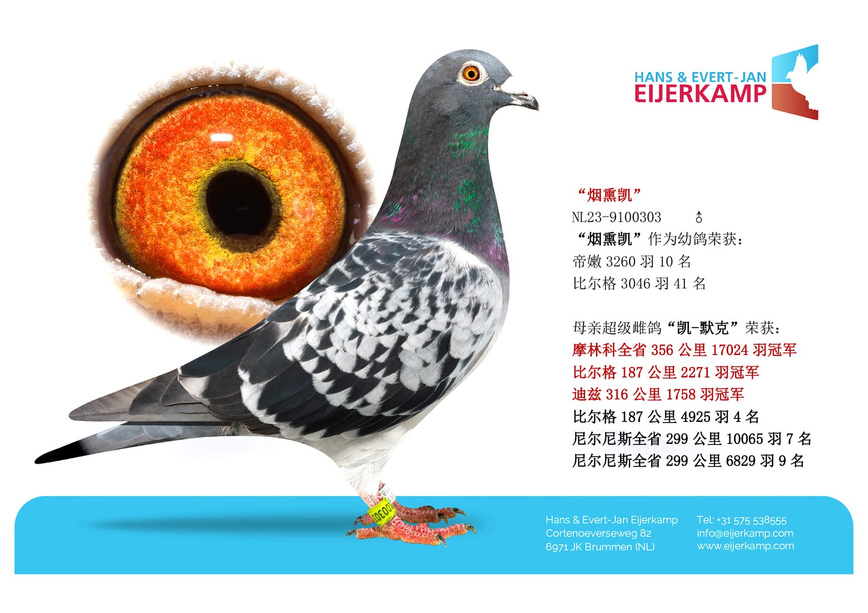 pigeon: “烟熏凯”